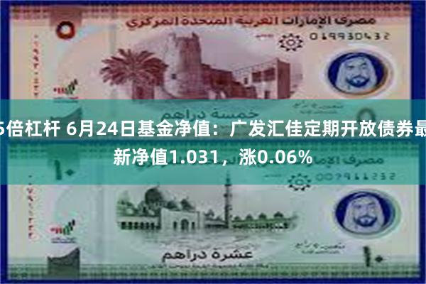 5倍杠杆 6月24日基金净值：广发汇佳定期开放债券最新净值1.031，涨0.06%