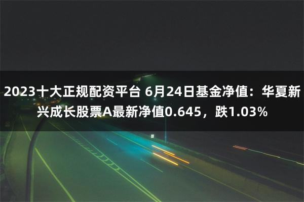 2023十大正规配资平台 6月24日基金净值：华夏新兴成长股票A最新净值0.645，跌1.03%