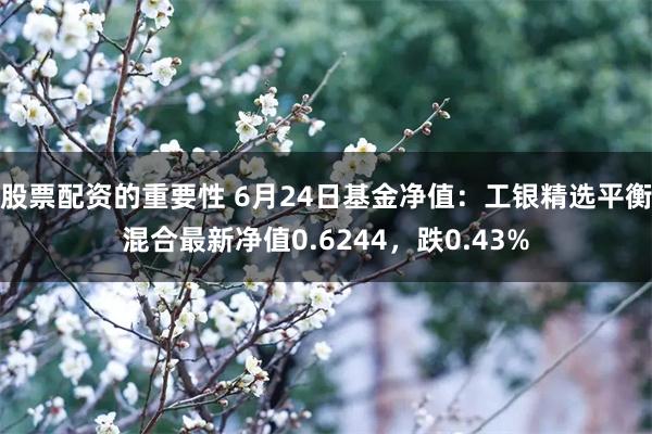 股票配资的重要性 6月24日基金净值：工银精选平衡混合最新净值0.6244，跌0.43%