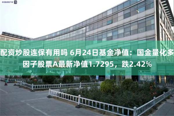 配资炒股连保有用吗 6月24日基金净值：国金量化多因子股票A最新净值1.7295，跌2.42%