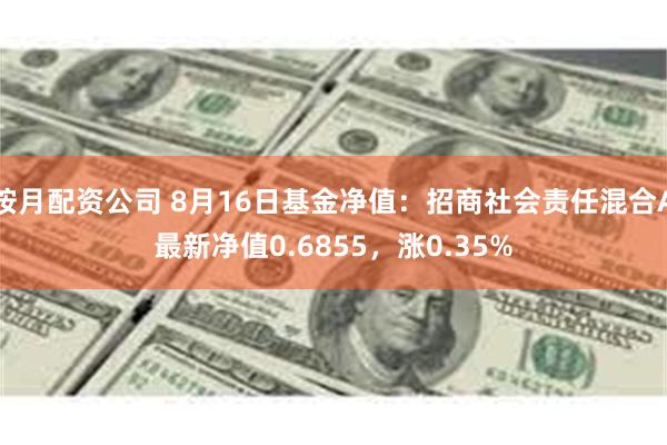 按月配资公司 8月16日基金净值：招商社会责任混合A最新净值0.6855，涨0.35%