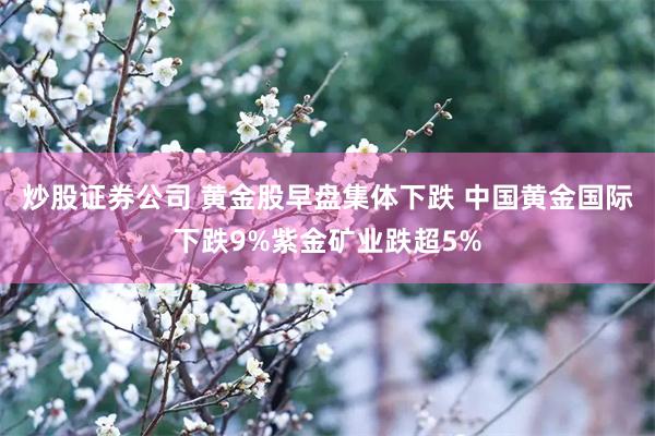 炒股证券公司 黄金股早盘集体下跌 中国黄金国际下跌9%紫金矿业跌超5%