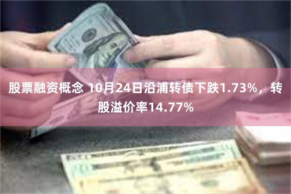 股票融资概念 10月24日沿浦转债下跌1.73%，转股溢价率14.77%