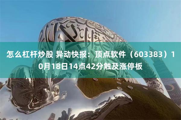 怎么杠杆炒股 异动快报：顶点软件（603383）10月18日14点42分触及涨停板