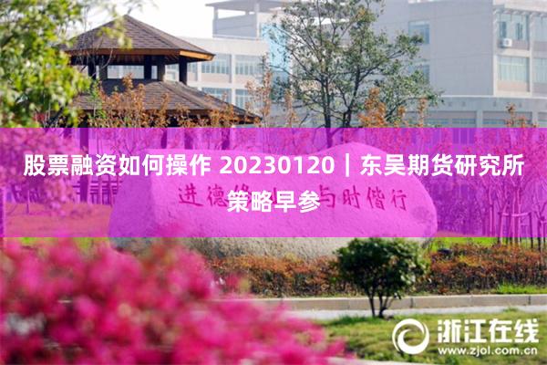 股票融资如何操作 20230120｜东吴期货研究所策略早参