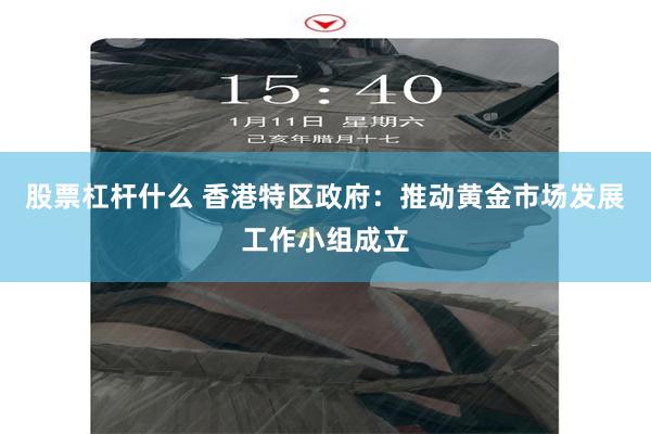 股票杠杆什么 香港特区政府：推动黄金市场发展工作小组成立